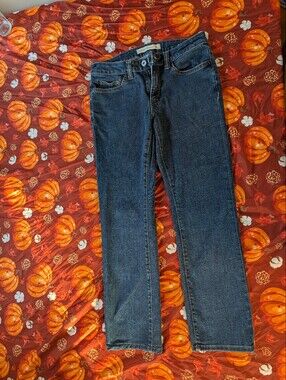 Denver Hayes Straight Cut Jeans in Dark Blue Denim 30x30